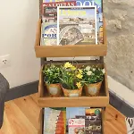 In * פורטו